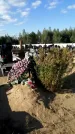 Захоронение ID 1333932