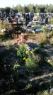 Захоронение ID 1334203