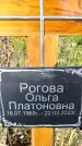 Захоронение ID 1334470