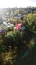 Захоронение ID 1334615
