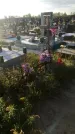 Захоронение ID 1334619