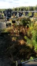 Захоронение ID 1335043