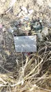 Захоронение ID 1335185