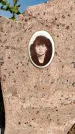 Захоронение ID 1335291