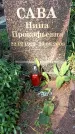 Захоронение ID 1335515