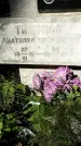 Захоронение ID 1335556