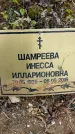 Захоронение ID 1335751