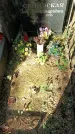Захоронение ID 1335839