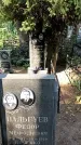 Захоронение ID 1336029