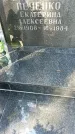 Захоронение ID 1336030