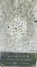 Захоронение ID 1336068