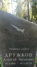 Захоронение ID 1336082