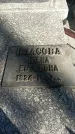 Захоронение ID 1336096