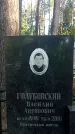 Захоронение ID 1336115