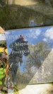 Захоронение ID 1336190