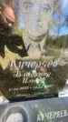 Захоронение ID 1336193