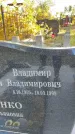 Захоронение ID 1336259