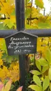 Захоронение ID 1336264