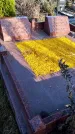 Захоронение ID 1336366