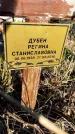 Захоронение ID 1336479