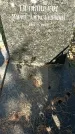 Захоронение ID 1336538