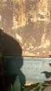 Захоронение ID 1336541