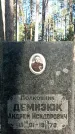 Захоронение ID 1336587