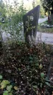 Захоронение ID 1336689