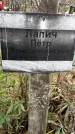 Захоронение ID 1336749