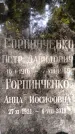 Захоронение ID 1342874