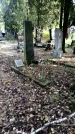 Захоронение ID 1336867