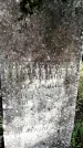Захоронение ID 1336877