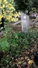 Захоронение ID 1336888
