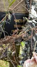 Захоронение ID 1336971