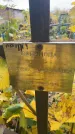 Захоронение ID 1337034