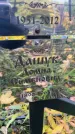 Захоронение ID 1337076