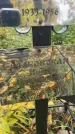 Захоронение ID 1337078