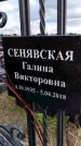 Захоронение ID 1337258