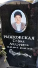 Захоронение ID 1337391