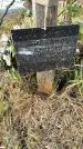 Захоронение ID 1337503