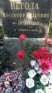 Захоронение ID 1337633