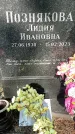 Захоронение ID 1337648