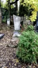 Захоронение ID 1337738