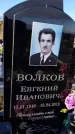 Захоронение ID 1337745