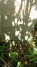 Захоронение ID 1337826