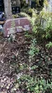 Захоронение ID 1337905
