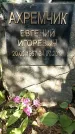 Захоронение ID 1337918
