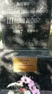 Захоронение ID 1337981