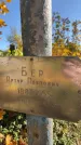 Захоронение ID 1338119