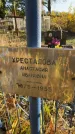 Захоронение ID 1338175